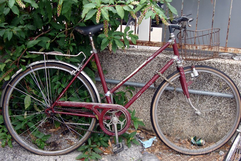 Biciclette a Udine - 022